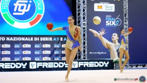 esibizioni farfalle ph simone ferraro sfa06963 copia